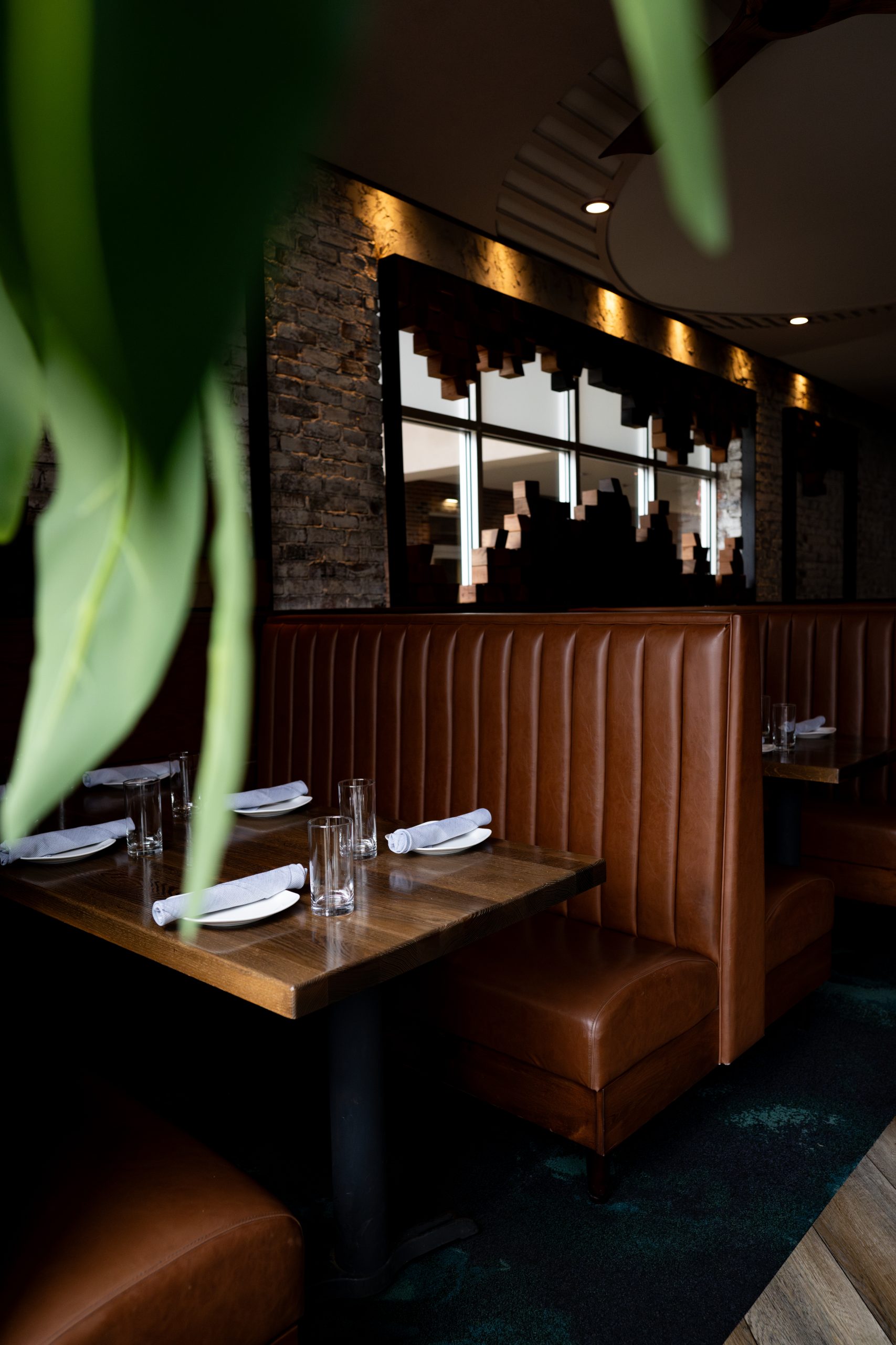 DSC_3734-Enhanced-NR